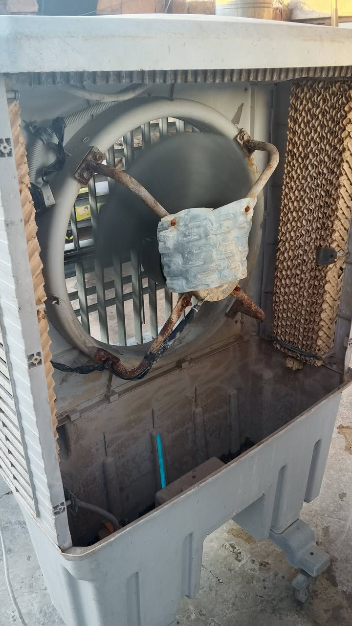 كنفيره شرط الشغل وبنكه سقف ثانوي اثنيناتهن 80وبيهن مجال الشراي يراسل او يتصل ***********
