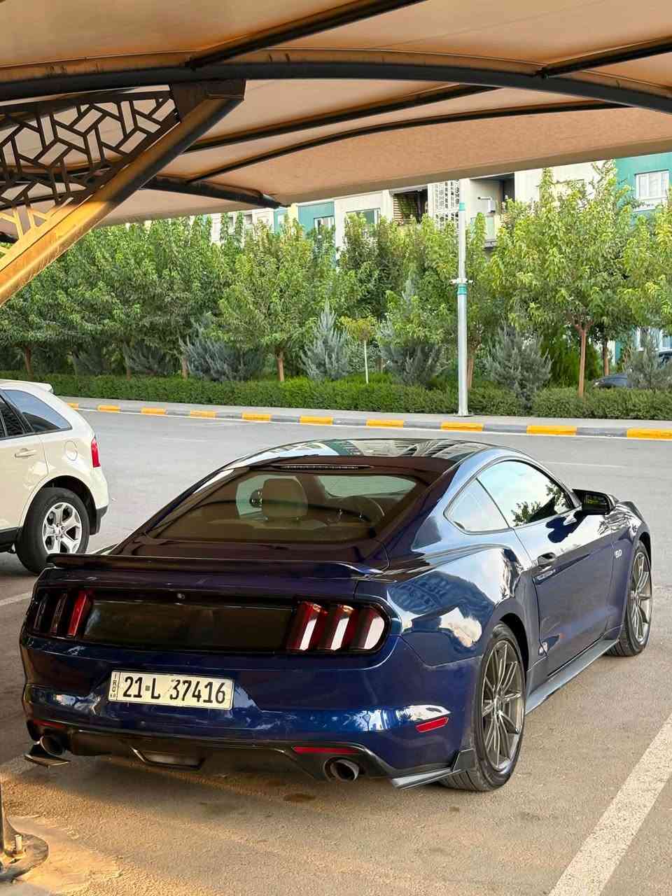 موستانگ V6 • ٢٠١٦ • سليمانية