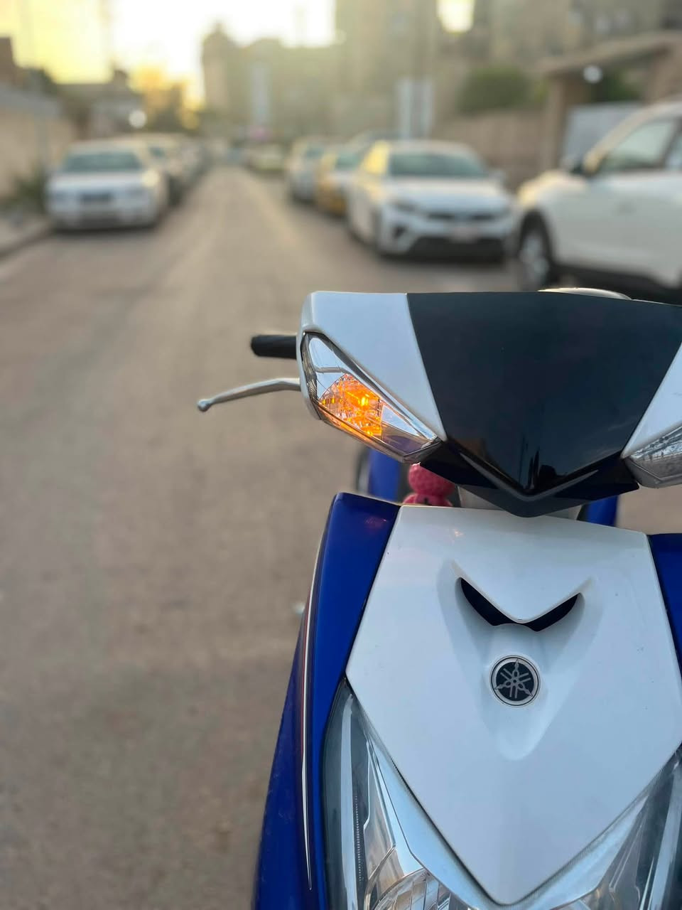 سكنس شمعه موديل 2019 دراجه صارلها شهر و9 ايام نازله من الرمبه ممشه الدراجه 14 الف علئ ايدي نازله من الرمبه 11 الف و453 الدراجه نشطه كفاله عامه علمكينه والكفر اذا مفتوح بيها برغي ترجع دراجه اذا كفر تجاري ترجع دراجه شلعه ومعدل يشكن الكاع كله محسن ودهن موتل للاستفسار اكثر *********** راسلني واتساب ماسنجر ماجاوب والسعر جوه سوك مكاني كراده بغداد 🖤
