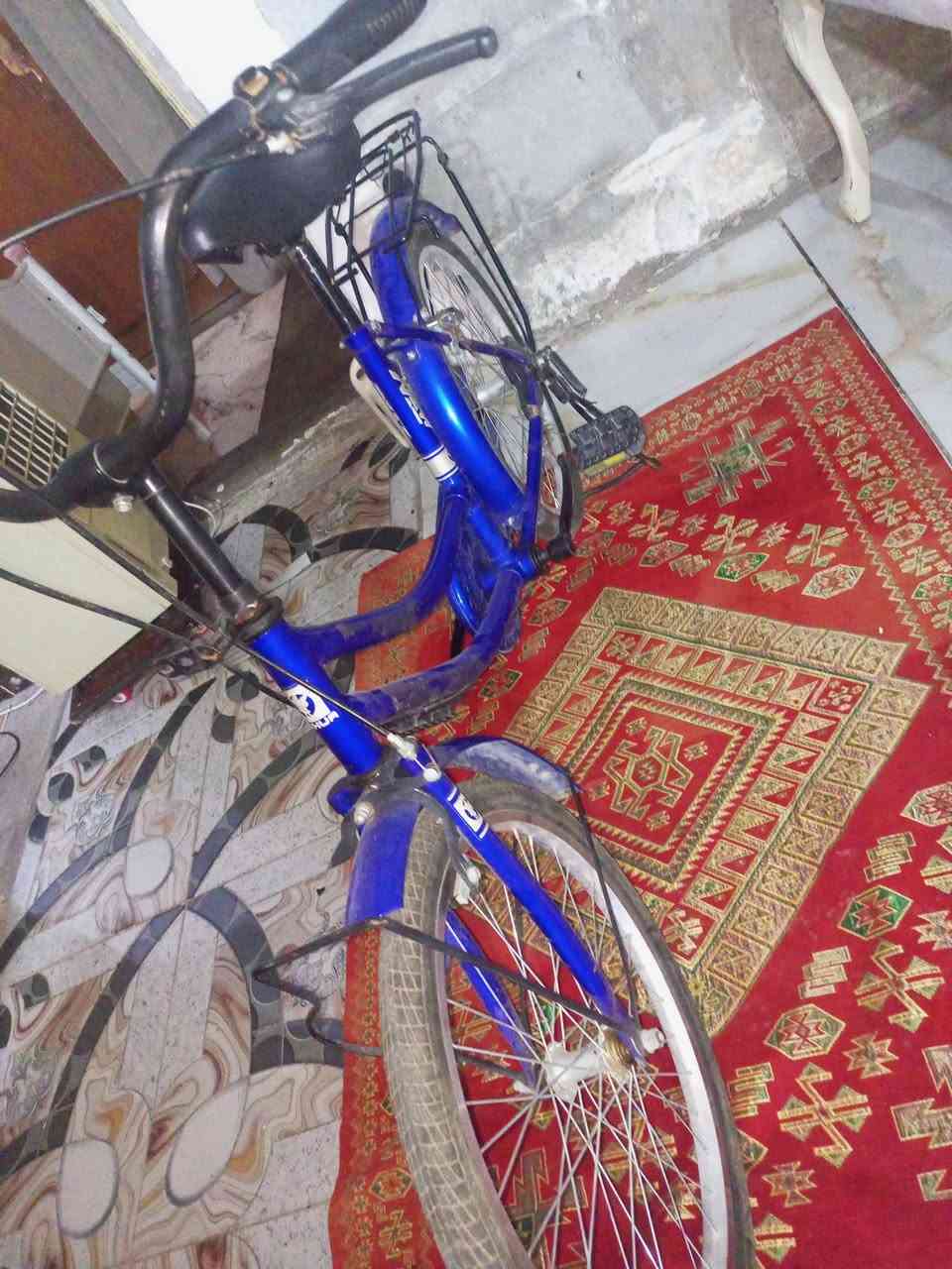 باسكيل • عدد ٣ • ما بيها نقص