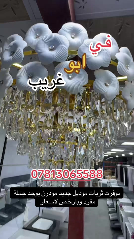 ثريات سقفية موديل جديد #اكسبلور_تيك_توك #بغداد #اكسبلورر #شعب_الصيني_ماله_حل😂😂 #اكسبلورexplore 

نص مكتوب في الصور:
- في ابو غريب *********** توفرت ثريات موديل جديد مودرن يوجد جملة مفرد وبارخص لاسعار