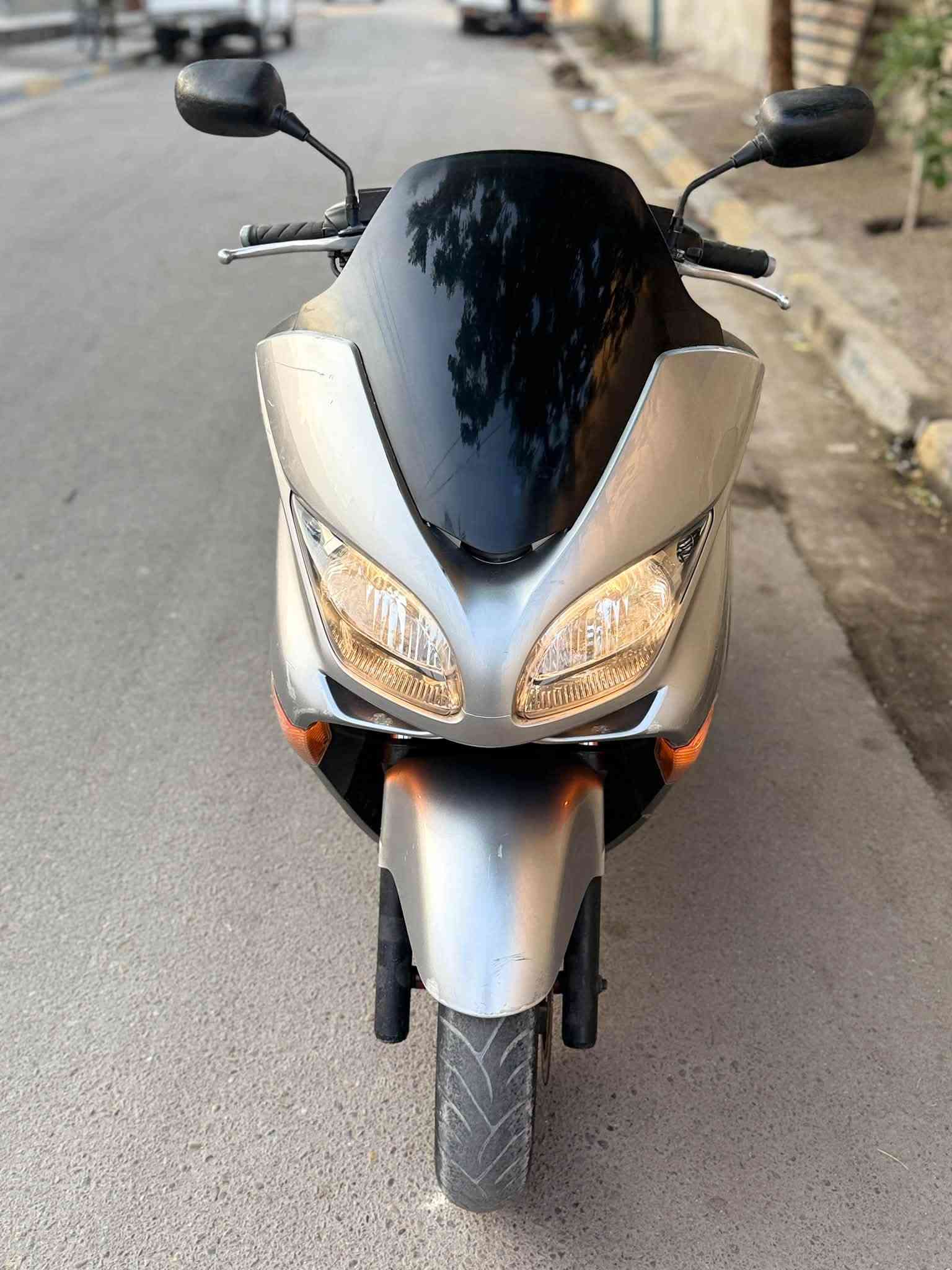 فورزة MF • ٠.٩ • أوراق