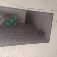 شاشة جنرال • ٣٢ بوصة • البصرة
