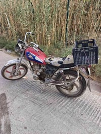 صقر • نجف