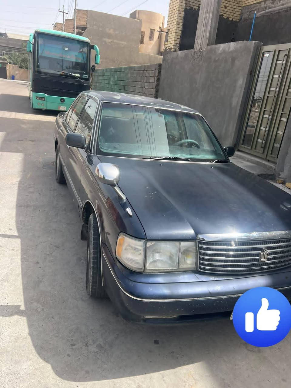 ارنب • نضيفه • بصره