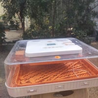 فقاسة • مستخدمة مرتين • نظيفة','٥٦ بيضة','نسبة تفقيس عالية','بابل