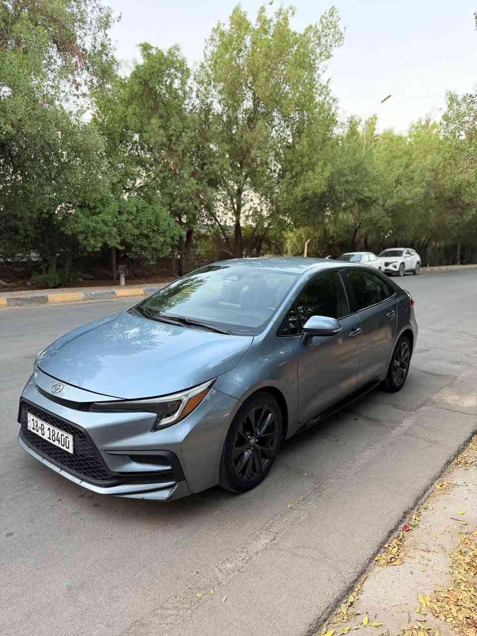 كورلا SE • ٢٠٢٣ • رقم بابل