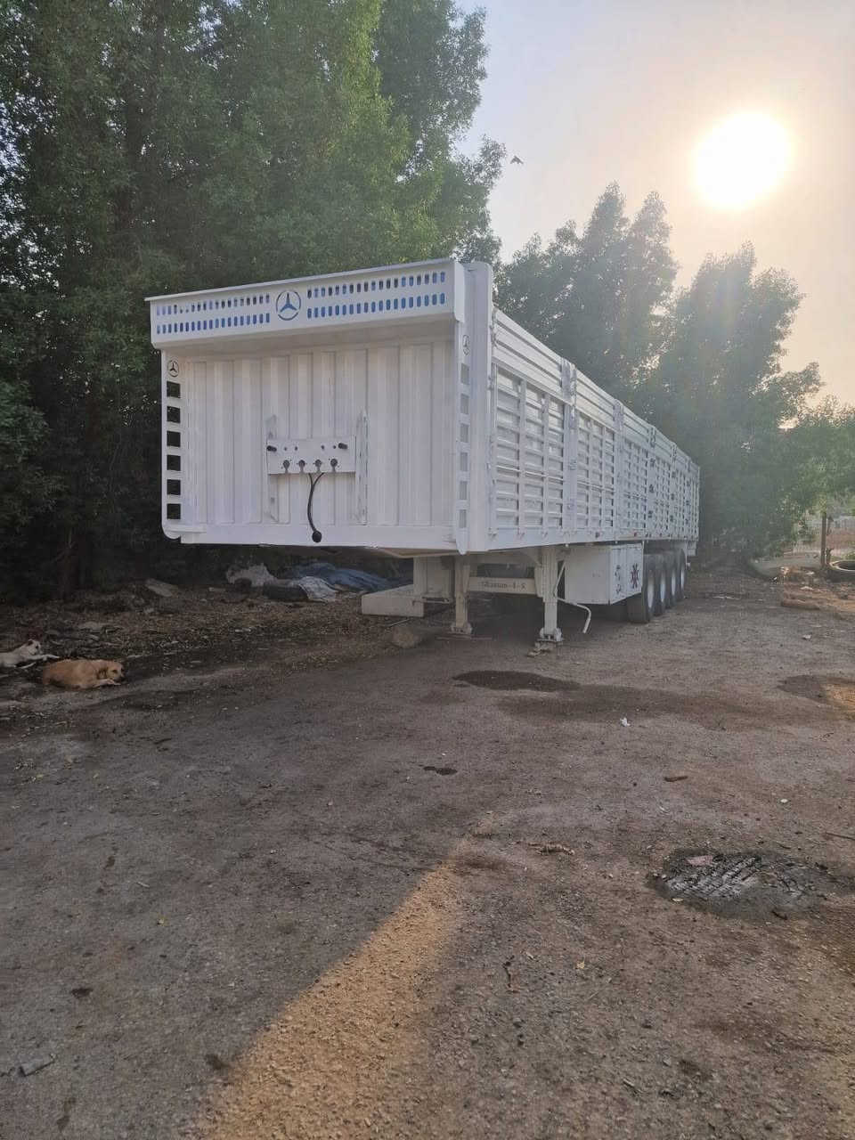 عربانه • ٢٠٢١ • جاهزه للشغل