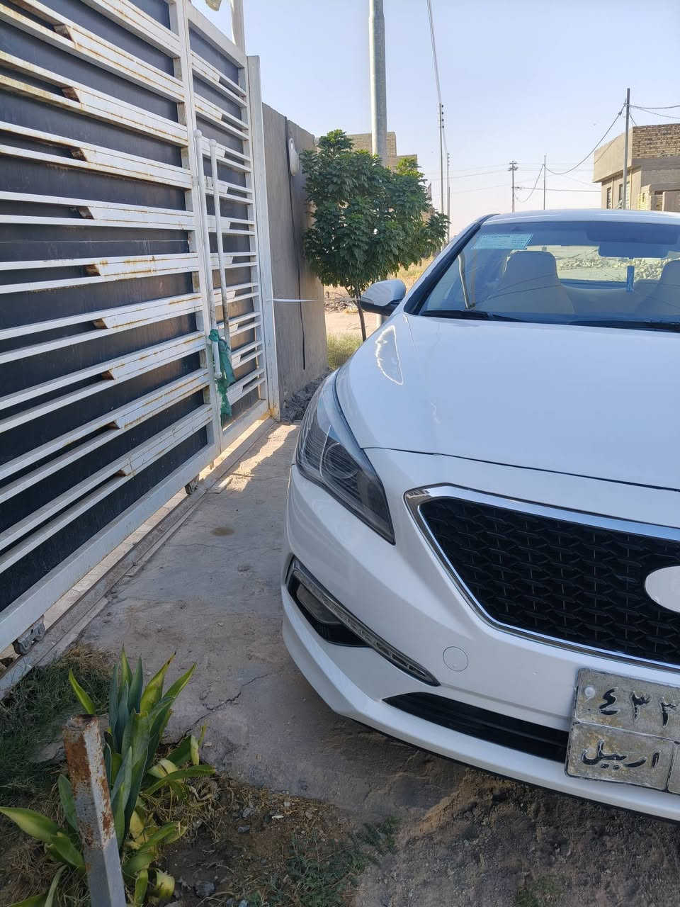 خليجي مديل 17 محرك 2400 دوش جاهزه علا اخر حبايه ما تريد اي مصرف السياره مكفوله من الحادث القوي والكلبه والتجوه ومن الكص مصبوغه عام عماريه طايحه عليهه وبيهه تكشير 
بيع او مراوس بسياره سعر اقل 
98 قفل سعرهه 
***********
