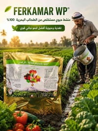 فيركمار • سماد عضوي • طحالب بحرية