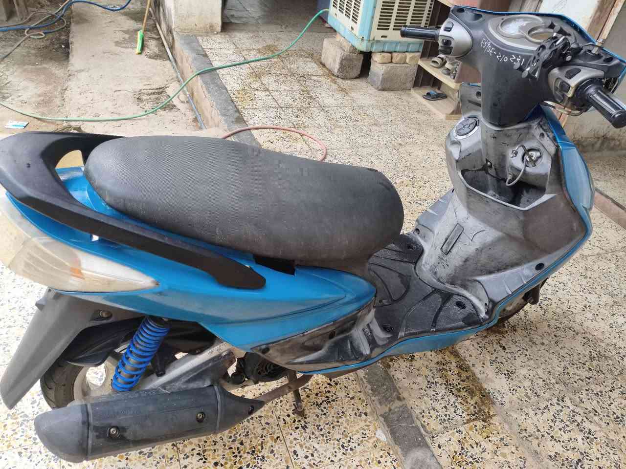 سكنس فحل • مكفوله • معدل