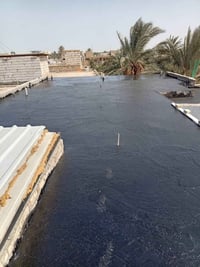 تزفيت • أسطح • ماستك