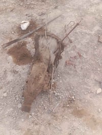ونجي سته • ضفيره • راديتر