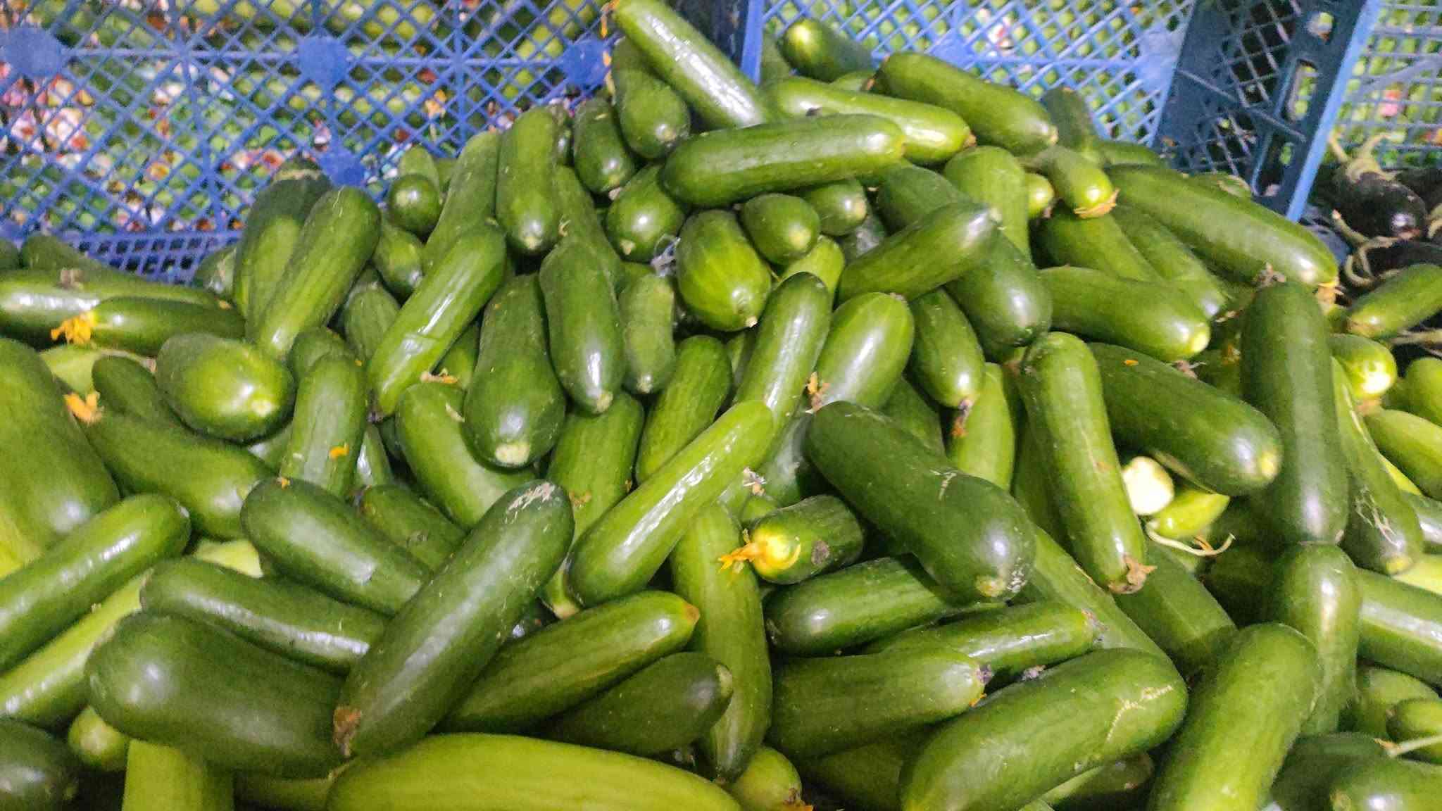 خضرة طازجة • فواكه موسمية • توصيل لحد الباب