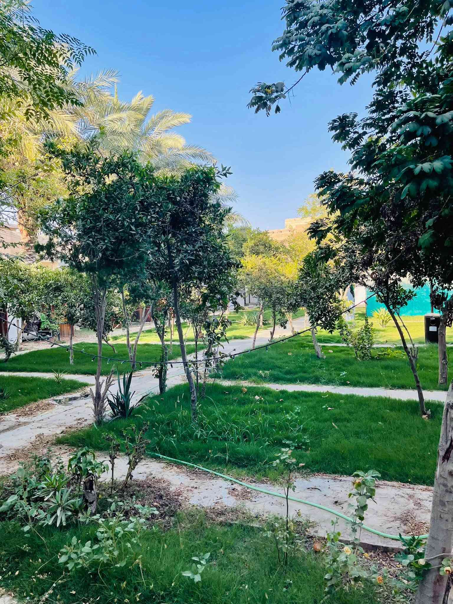 الجمعية حي المستقبل • ٧٥٠م • كوفي مطعم