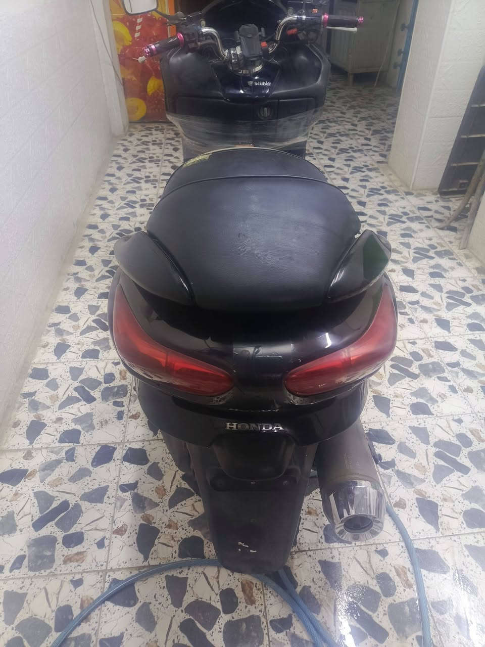 سلام عليكم فورزة للبيع مكاني الكوت ***********
تصل وتدلل
