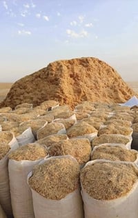 تبن حنطه • نضيف • كيس ٥٥