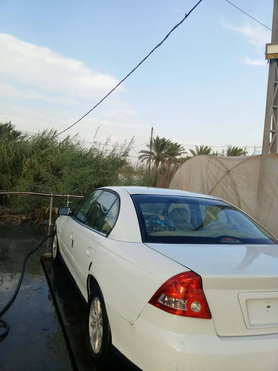 لومينا • ٢٠٠٤ • رقم ديالى