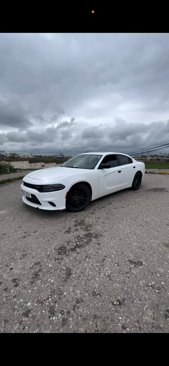 تشارجر SXT • ٢٠٢١ • وارد كندي