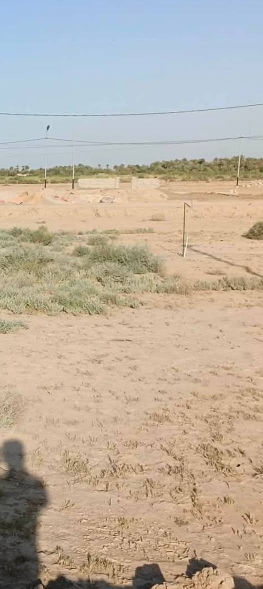 السلام عليكم  
عندي 400 متر هور الجبور طابو زراعي 
السعر كلش مناسب شخص بيع مستعجل 
تريد تاخذ بس 200 متر تريد 400 كله 
لاتصال على الرقم ***********
 واتساب على هاذا الرقم***********
