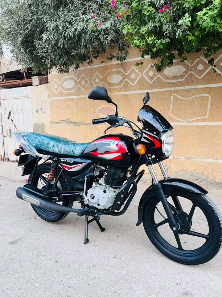 بوكسر • ٢٠٢٢ • كفاله عامه