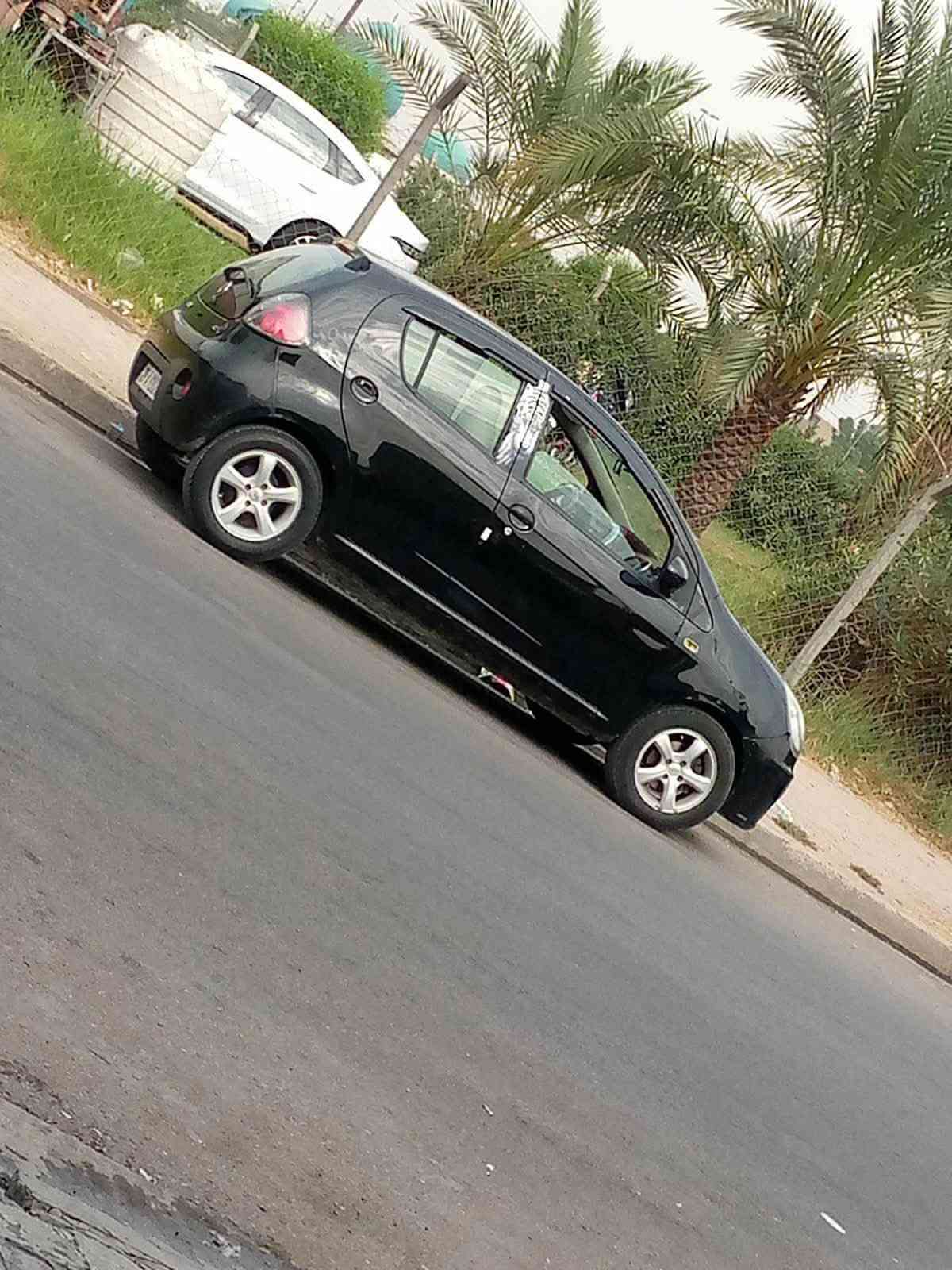 جيلي بانده • ٢٠١٦ • بدون صبغ
