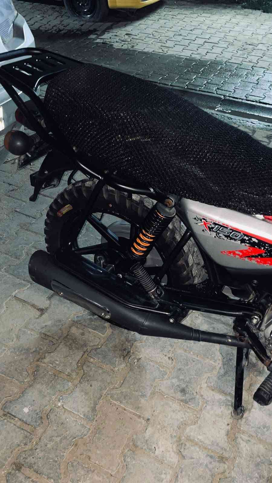 بوكسر جبلي • كفاله • ٢٩٠٠