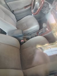 كورله نحلة البيع عنوان ابو غريب الحمدانية الأولى 07505645054📞 07849174...