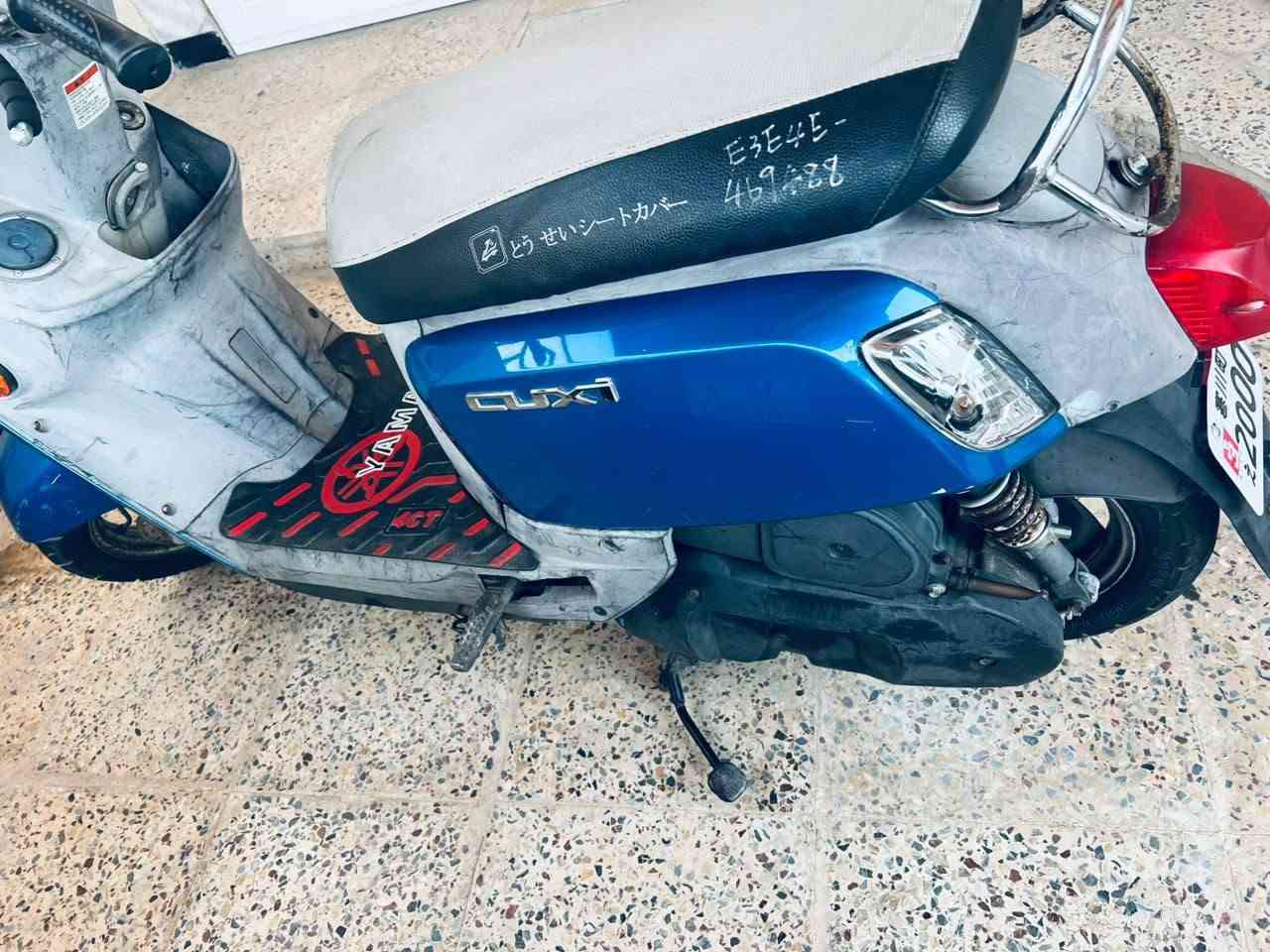 ماكس بوليسي • مسطرة • خارج المعرض
