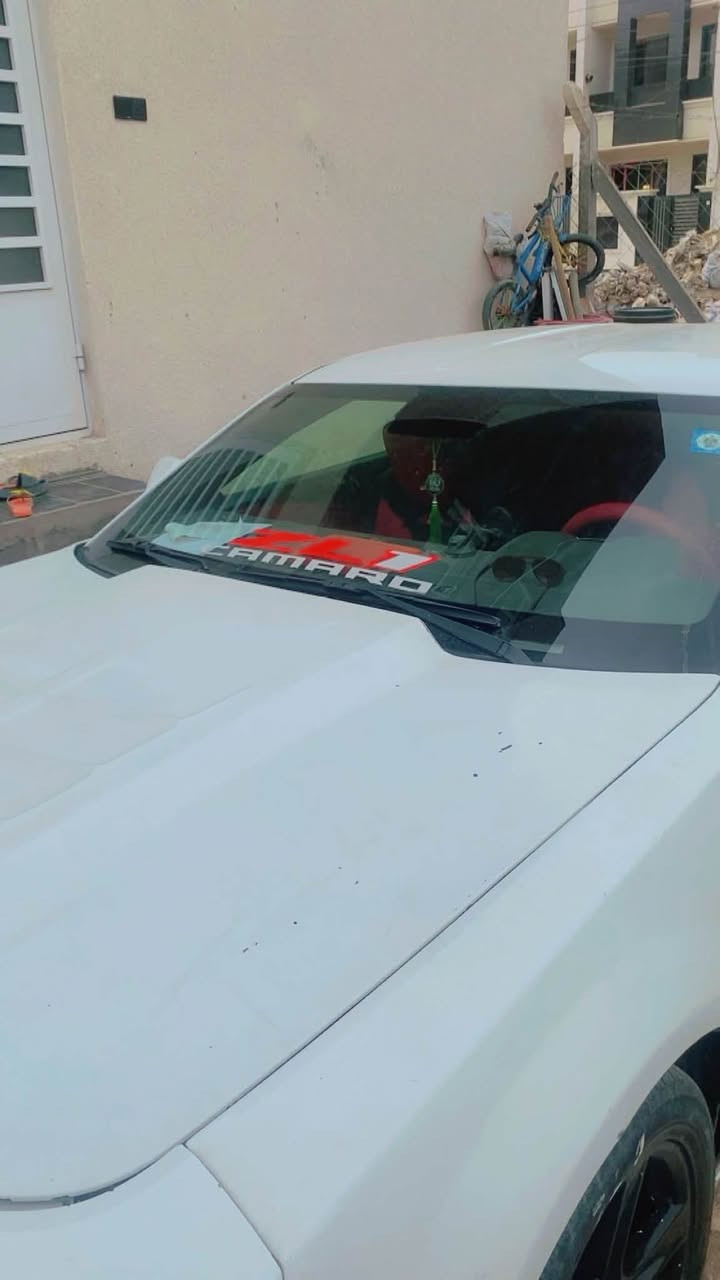 كمارو ابيض • ٢٠١١ • بسمي