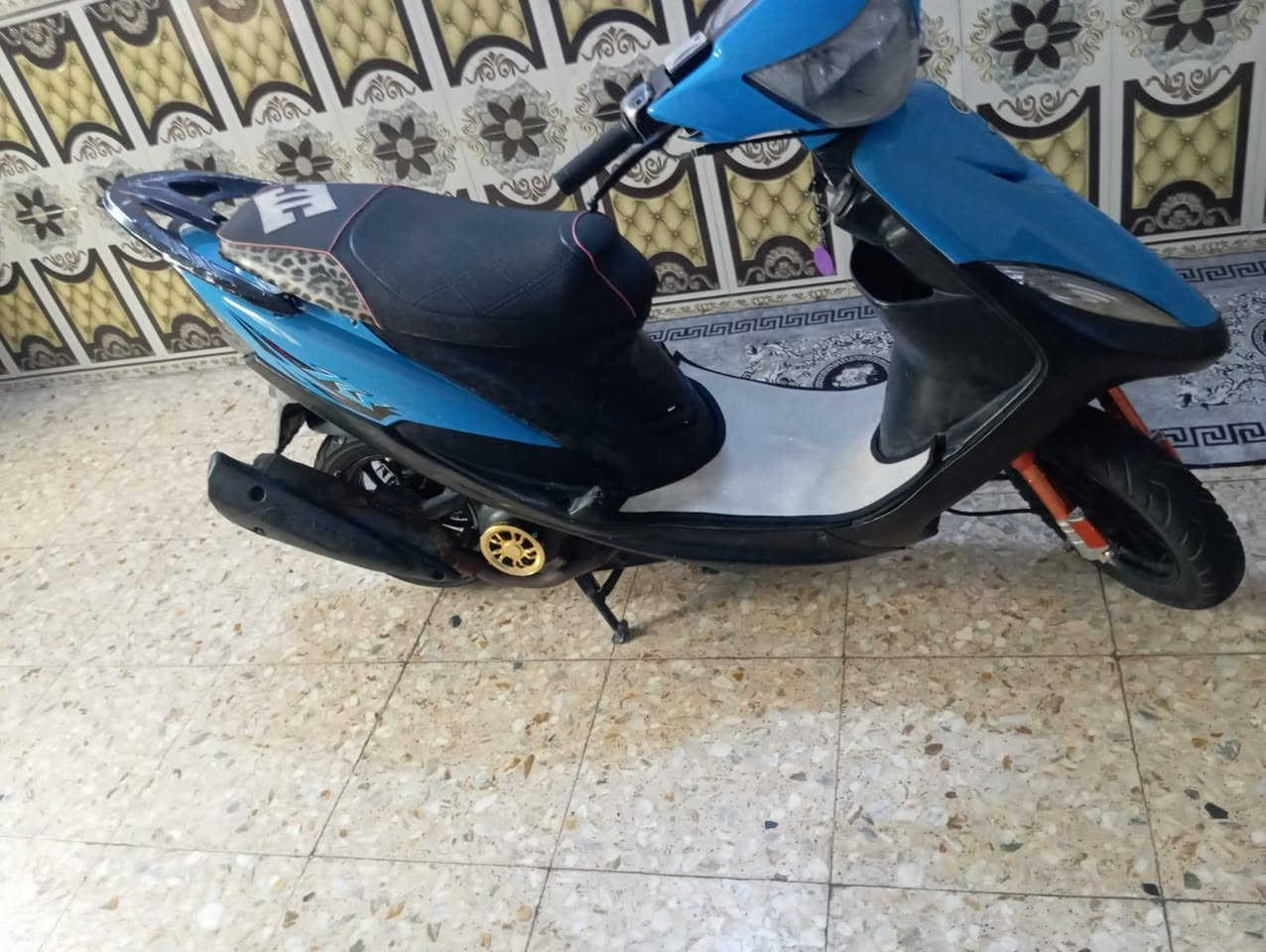 ماكس عدلة • كفالة • NCY