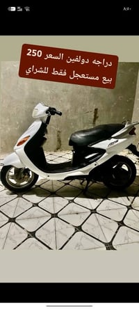 دولفين • فحل • بيع مستعجل