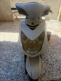 سكنس فحل • نوزل • بدون اوراق