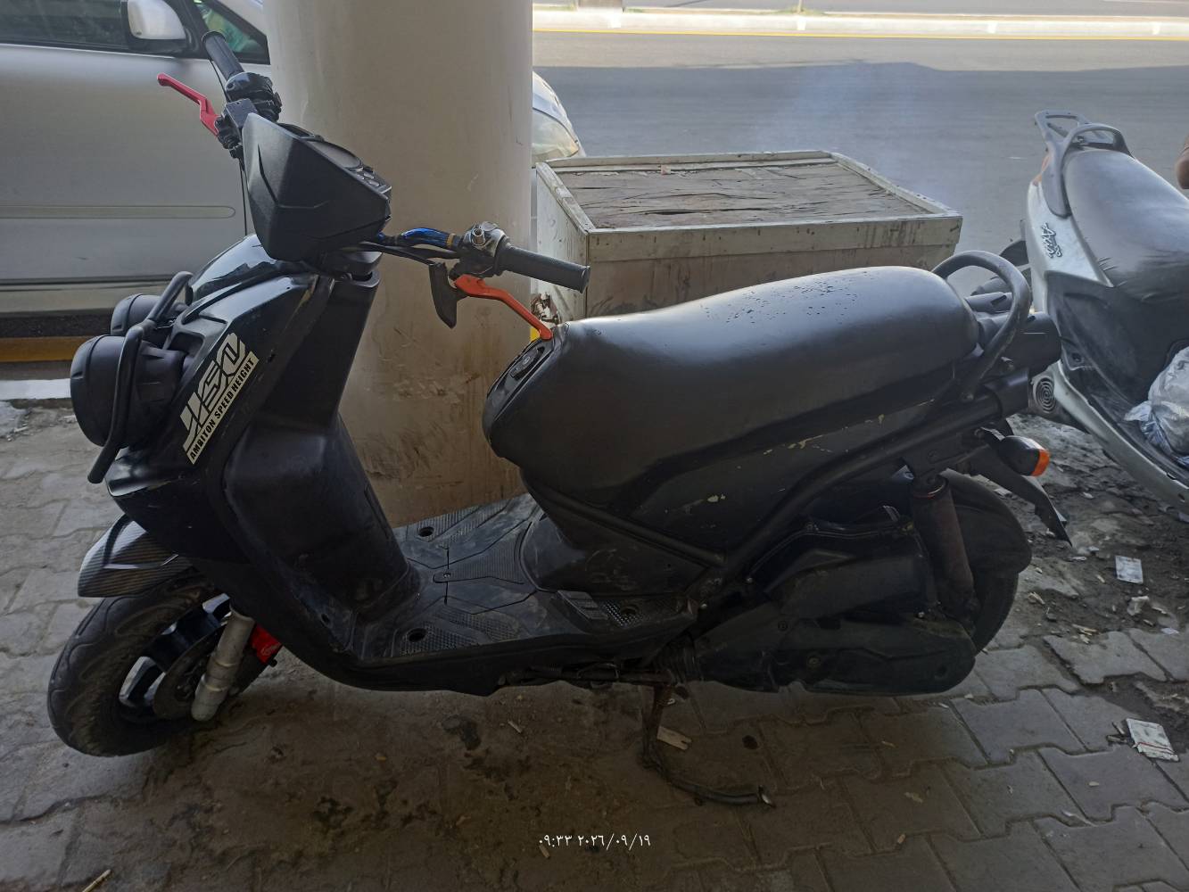 سكنس جبلي • مراوس • ميسان