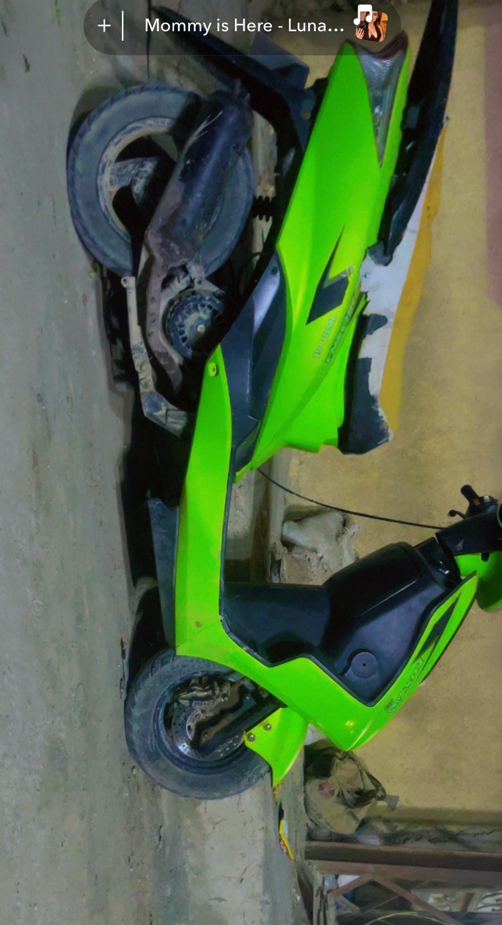 سكنس • ٢٠٢٣ • ياباني