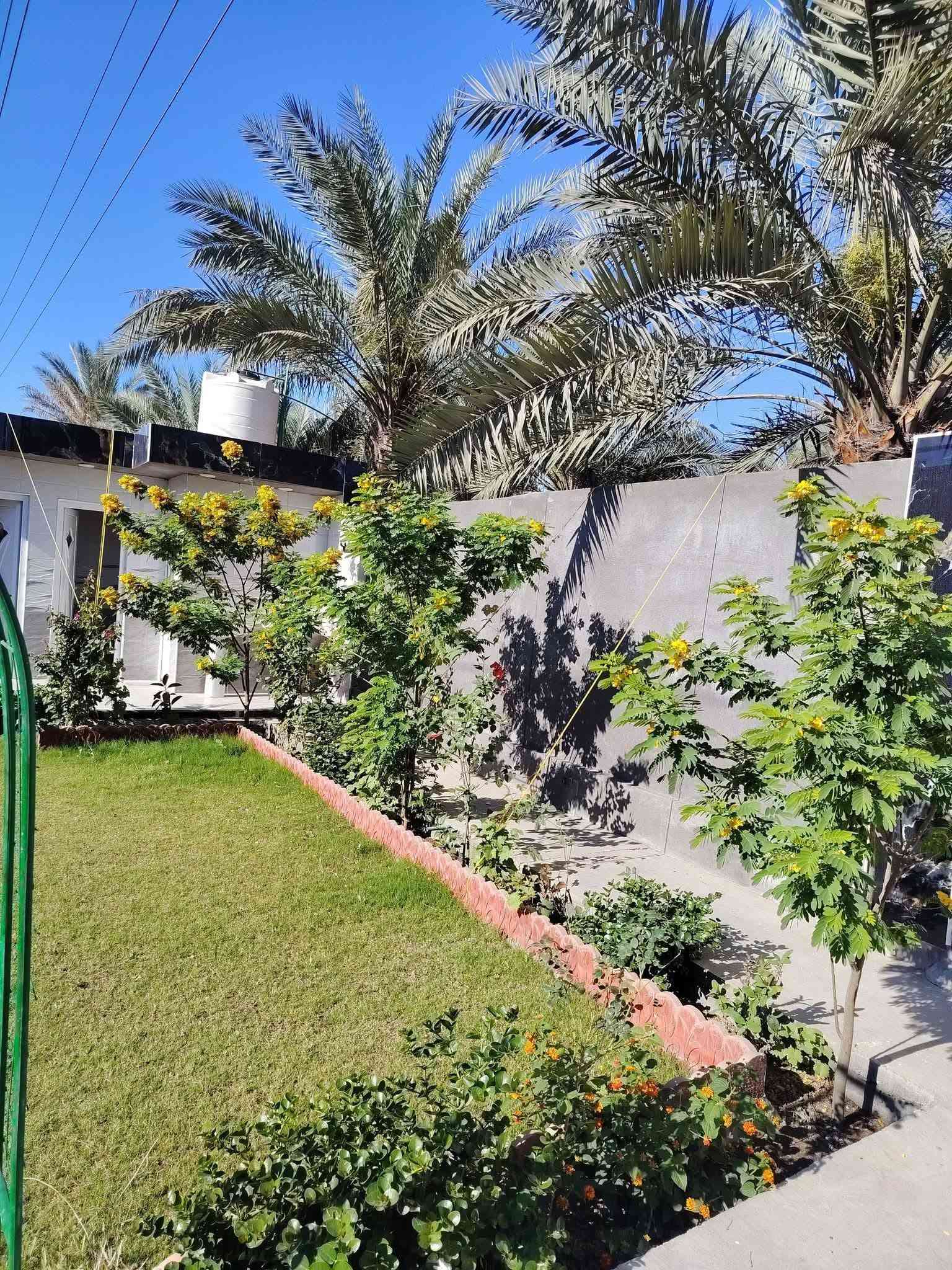 فلاح حدائق • مكينة ثيل • تقليم أشجار