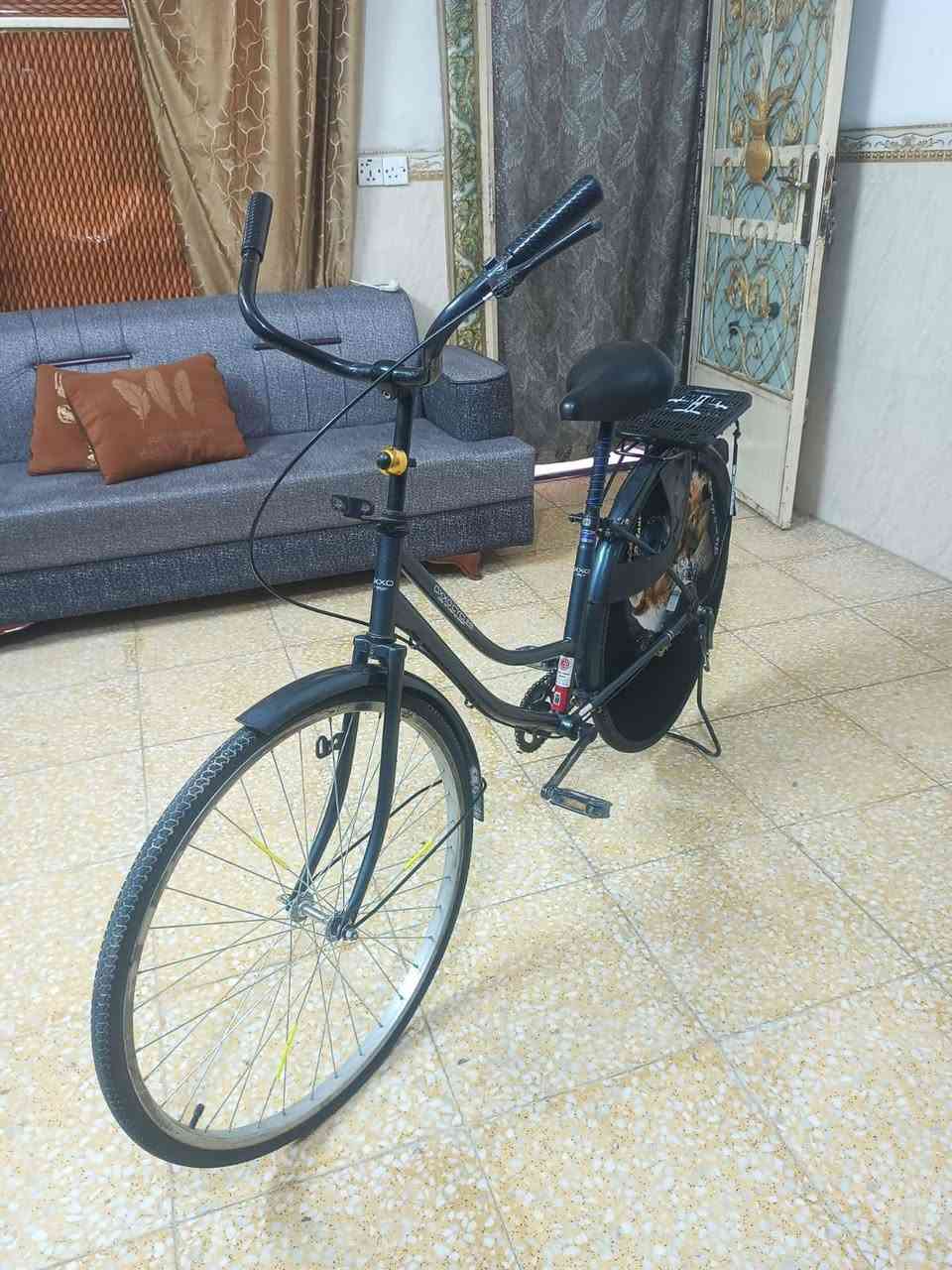 السلام عليكم باسكل نضيف مديل 23 مختم كله كلشي ما بي بس صينيه ما بي حجم 26 السعر 75 وبي مجال مكاني بغداد الشعب الرقم ***********
