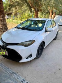 كورلا • ٢٠١٩ • وارد امريكي