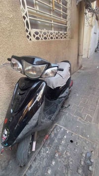 بريز ببغاء • مستعجل • الكاظميه
