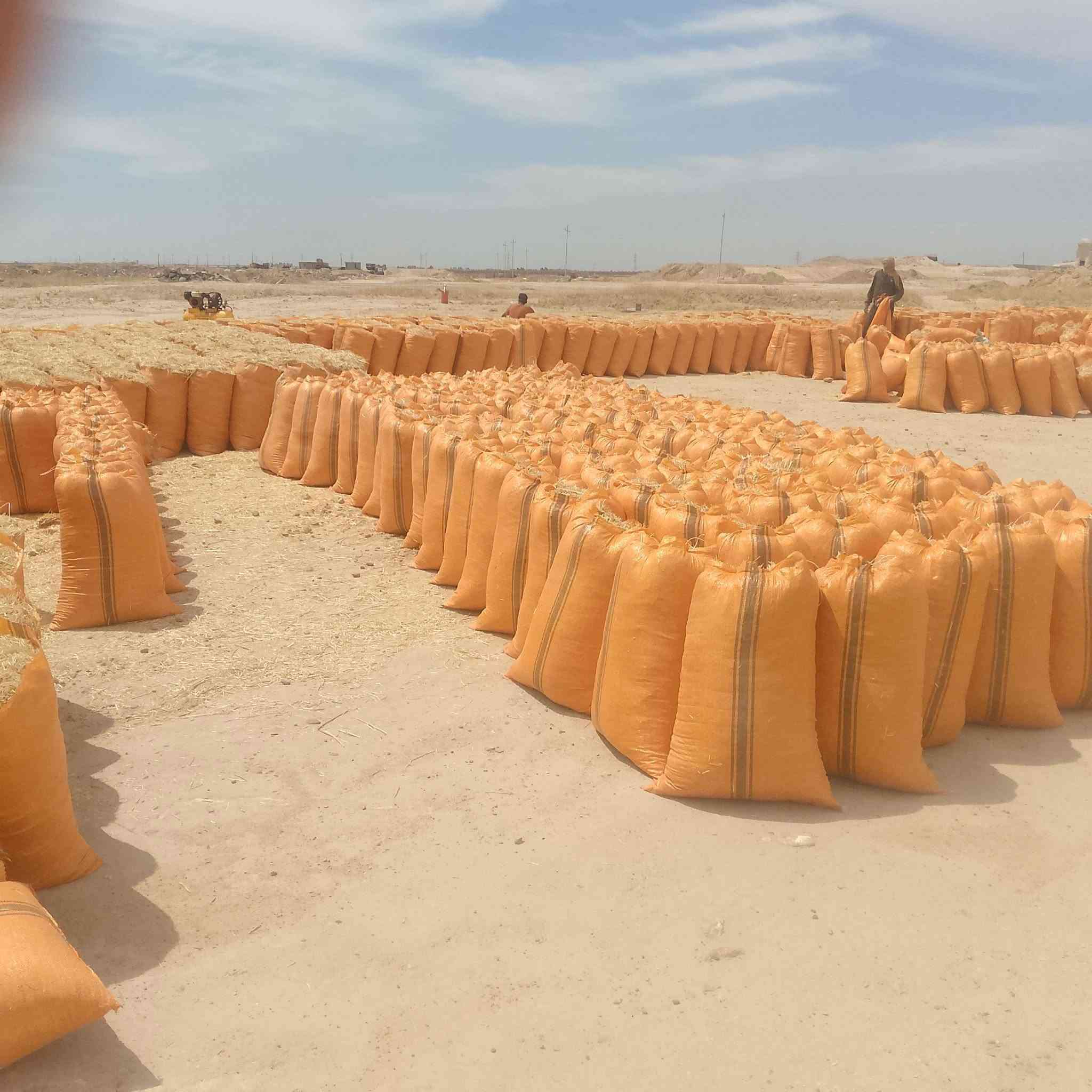 السلام عليكم  يتوفر لدينا تبن درجة أولى بي معنا الكلمه  كميات مفتوحه لي جميع المحافظات طول الشليف 83 والعرض 60 مطروح  بالمكان السعر 2500  للااتصال على الرقم  ***********  او مراسلتنا على الخاص ونتمنى التوفيق للجميع
