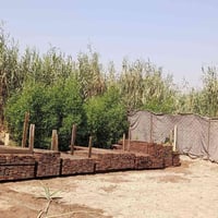 قالب خشب • ٦مكعبات • بابل حي العسكري