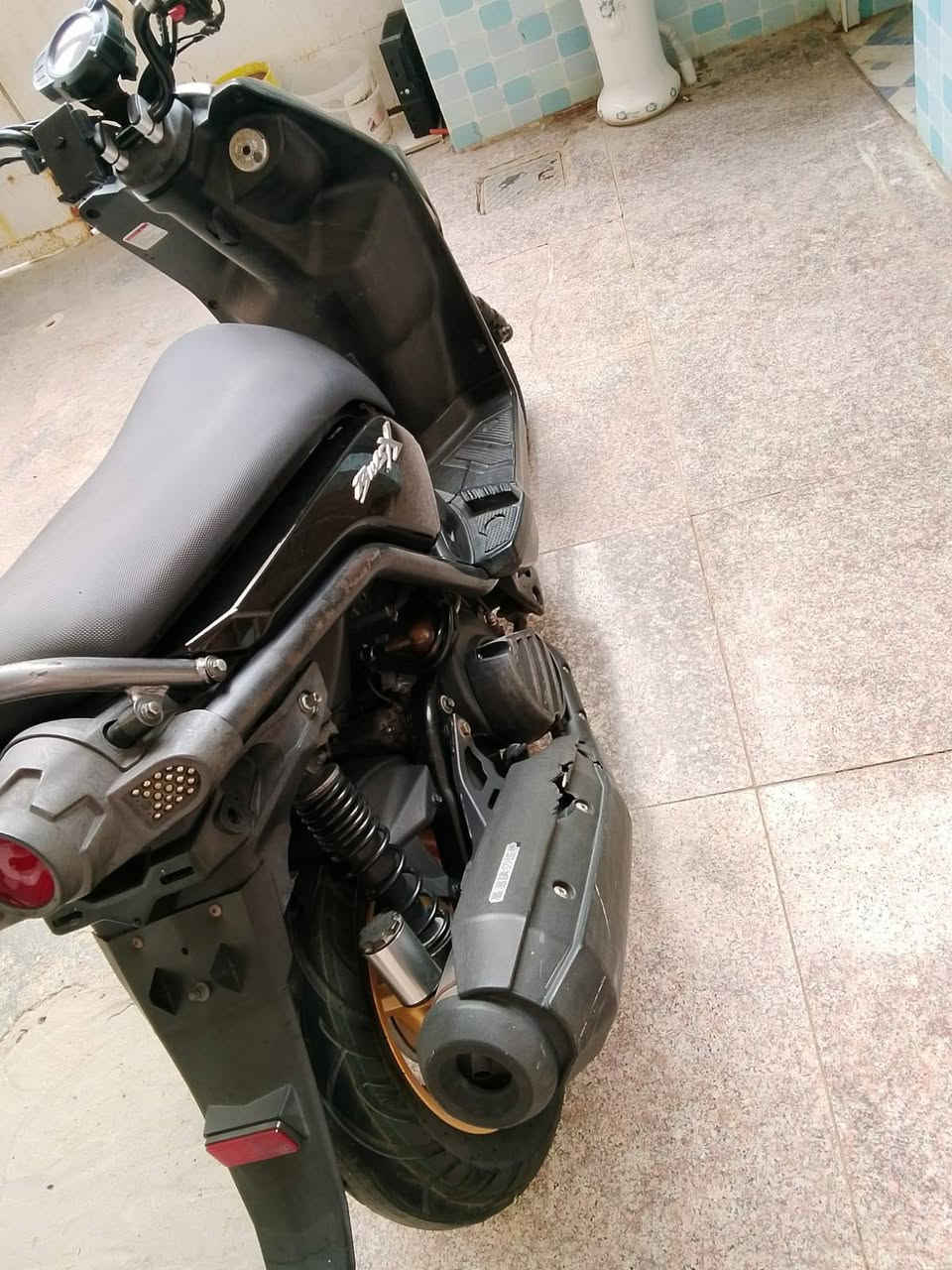ماكو جبلي • حاويه • جديده