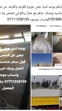 جص • درجة أولى • توصيل بغداد