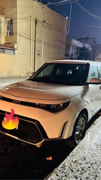 ٢٠٢٣ • وارد امريكي • لون صدفي