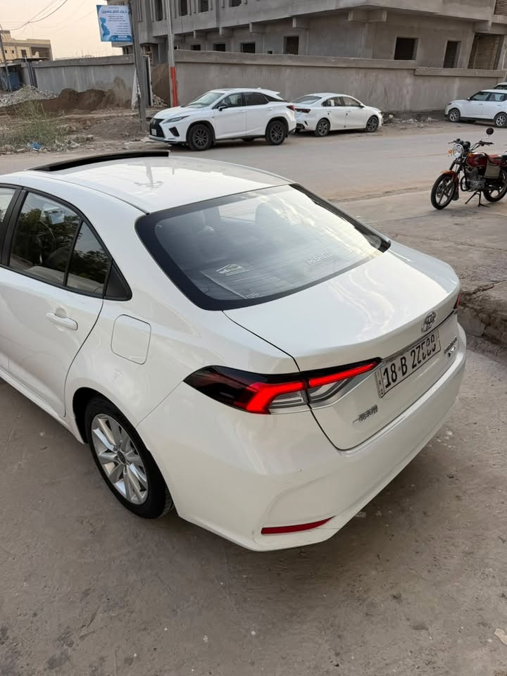 كورلا هايبرد • ٢٠٢٥ • رقم بابل
