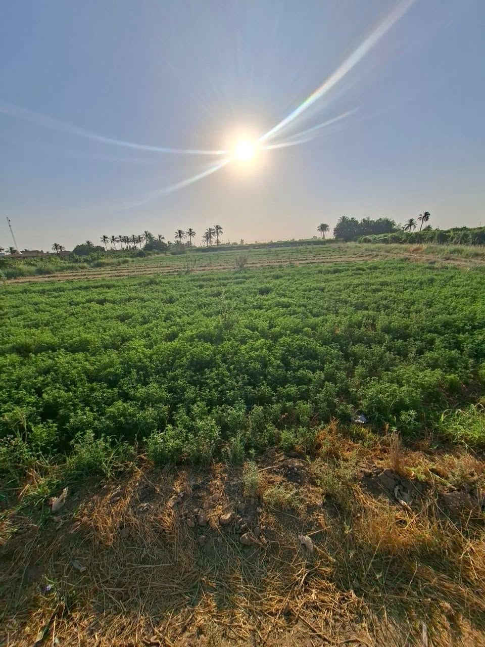 قطعه ارض طابو صرف.    

دونم نص. 
تبعد عن سريع بغداد موصل   ٥داقائق

***********. وتساب   
خدمات ماي كهرباء
