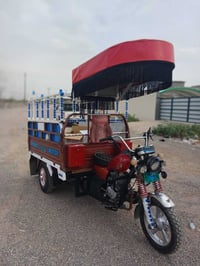 ستوته • سعر • دز خاص