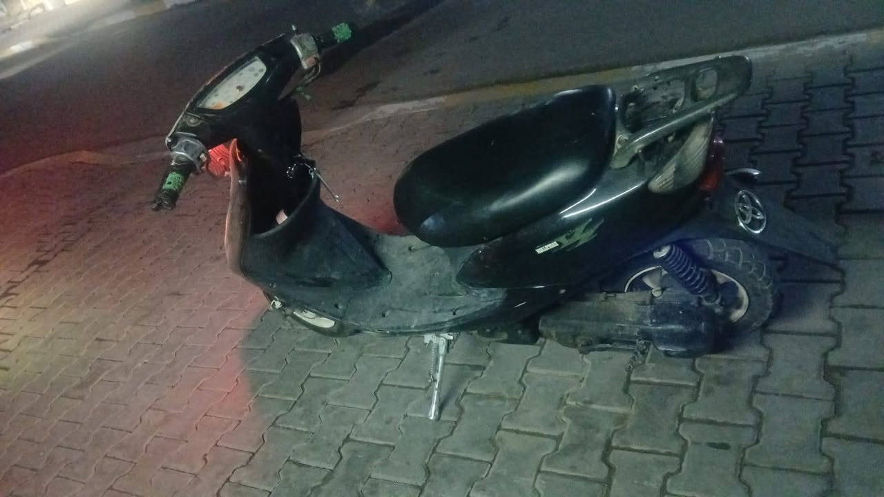 عصفورية • سلف وهندر • كهربايات شغاله