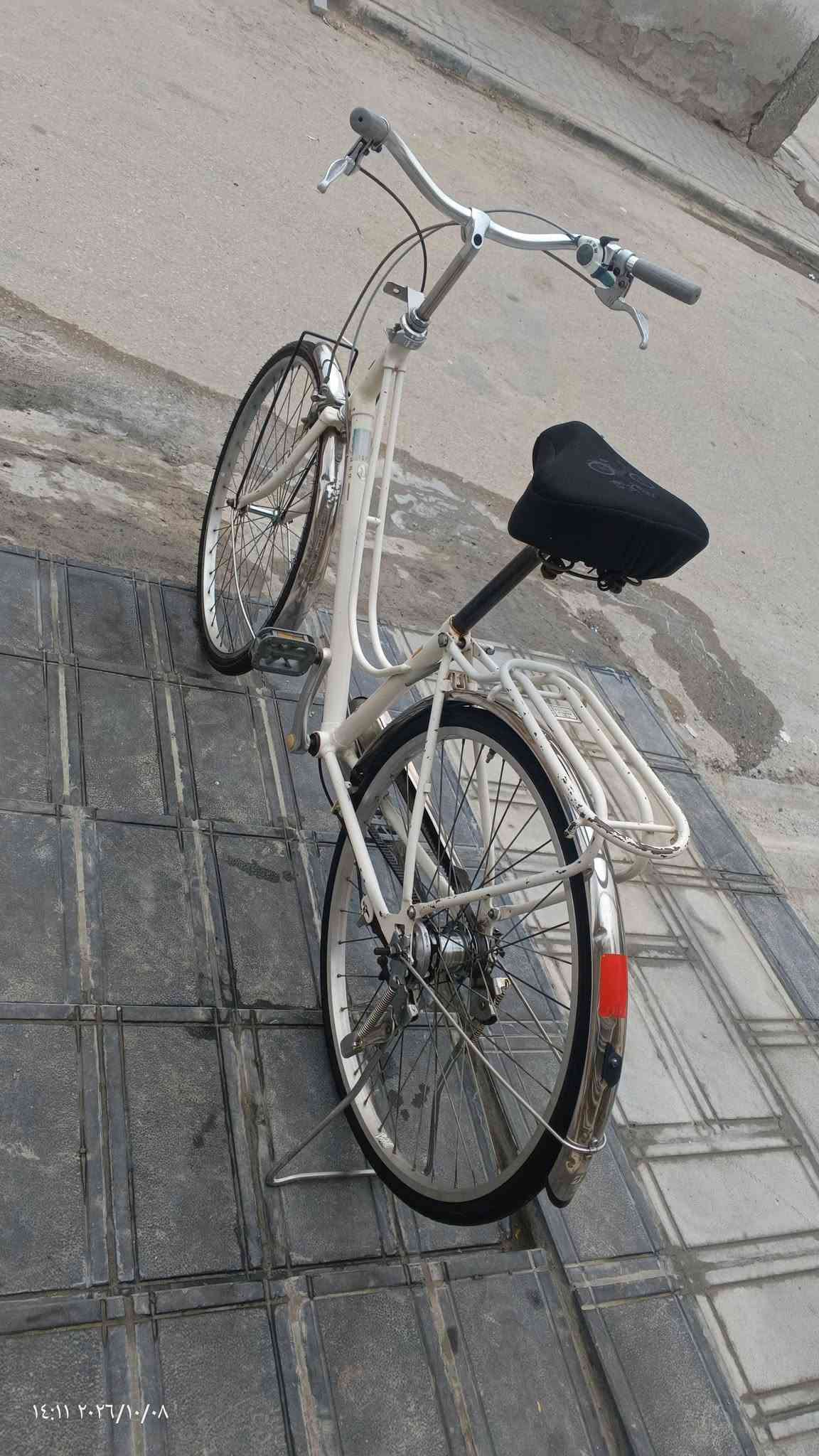 باسكل • نضيف • نجف مشخاب