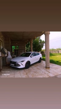 بصمة • كشنات جلد • مثبت سرعة